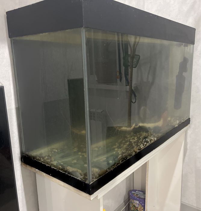 Аквариум , стол