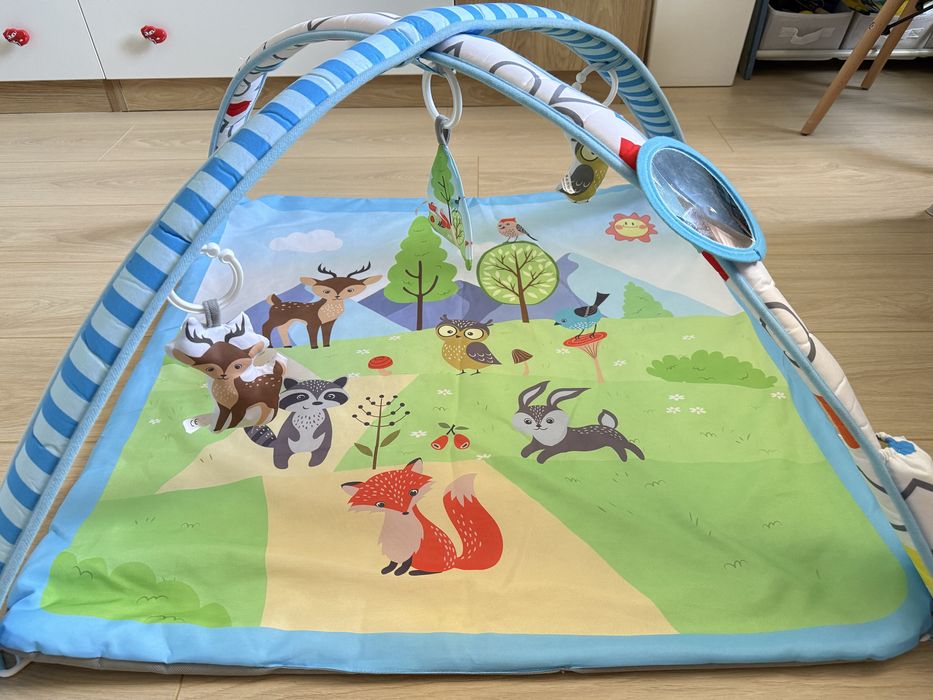 Активна гимнастика Chipolino