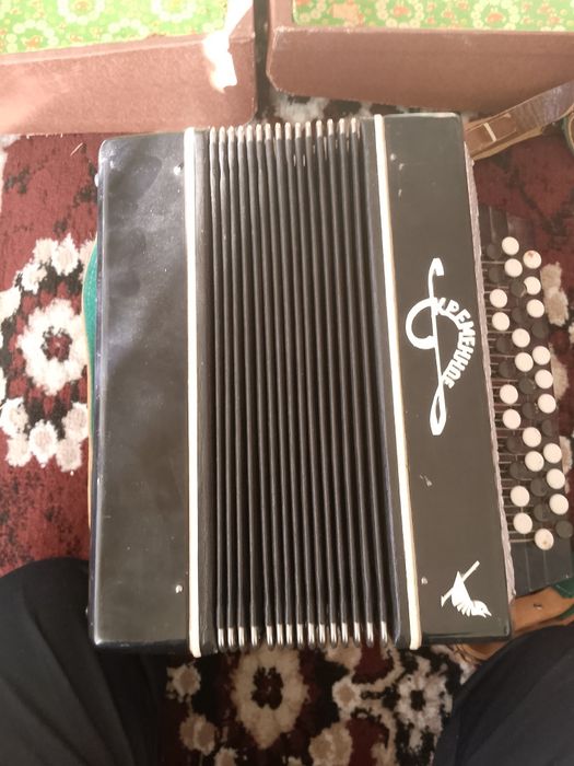 Bayan sotiladi srochni