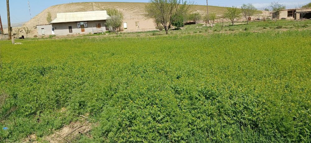 Uy Joy Sotiladi 3 xona uyi Oshxona Hammom Tualet bor