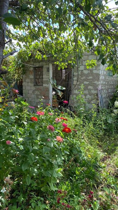 Продам дачу сад "Здоровье"