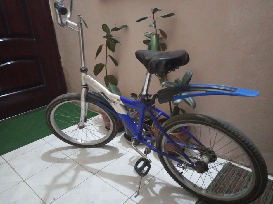 VELOSIPED 20 (velik)