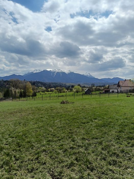 Teren de vânzare Sohodol Bran - proprietar