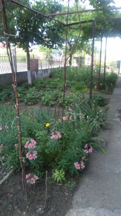 Продава се Етаж от къща в с. Равда, Област Бургас - 130 кв.м за 1154 €/кв.м - Снимка #4