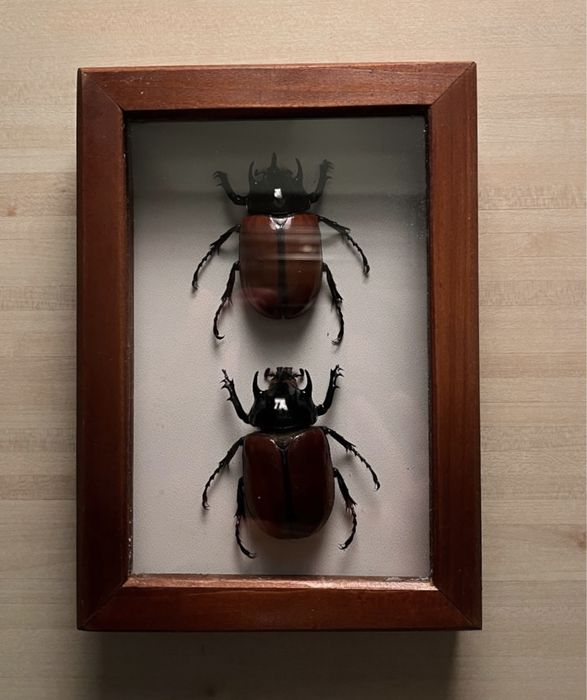 Уникални ръчно изработени картини