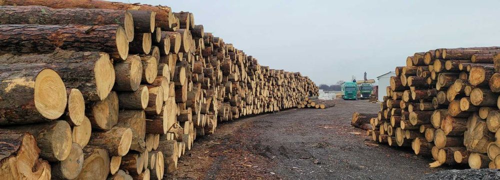 Дървен матриал просъхнал на атмосферни условия