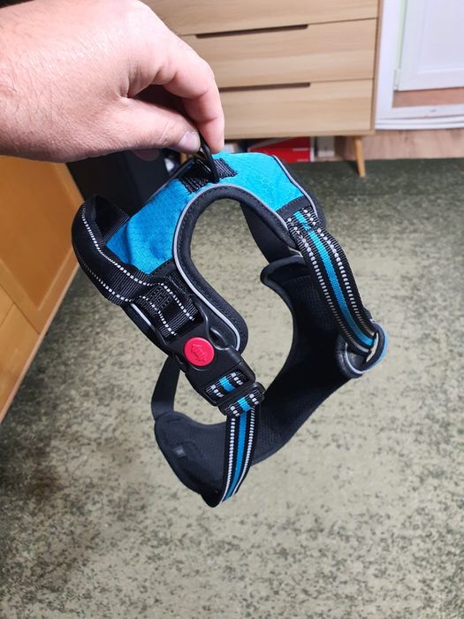 ham caine de talie mare