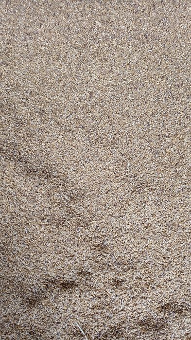 Vând grau si orzoaica 2025