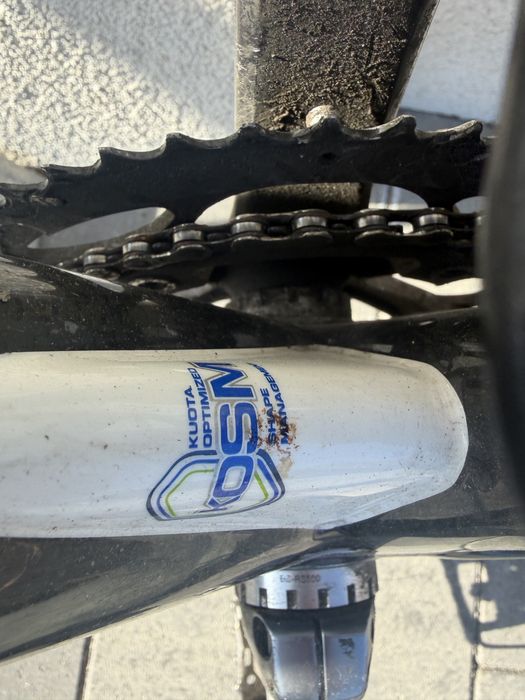 Cursiera carbon.