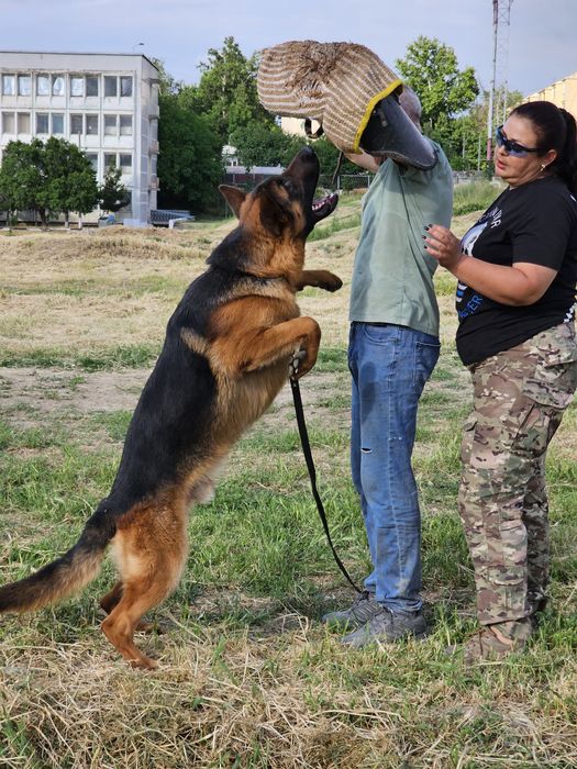 Предлагается для вязки