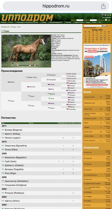 Тазақанды айғыр сатылады