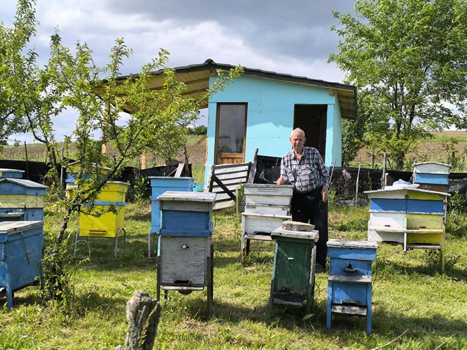 Продавам пчелен мед букет