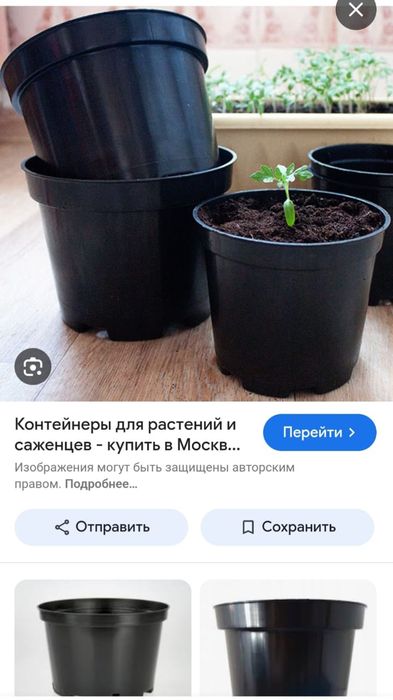 Горшок для россады