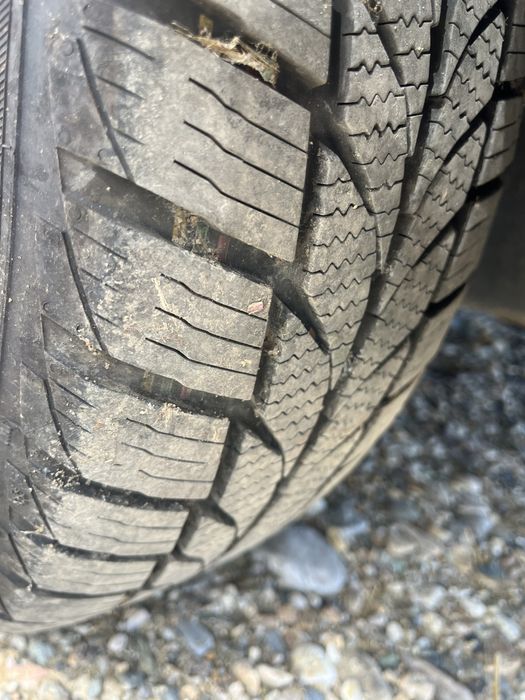 piese citroen  berlingo 1,9 d simplu