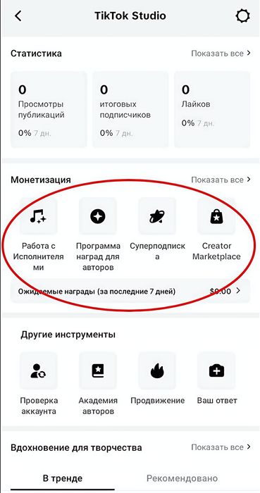 Готовый аккаунт TikTok (Франция, Германия, Корея) для монетизации