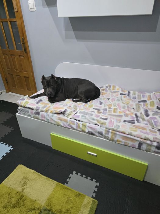 Pat de o persoană, plus dulap, stare foarte bună