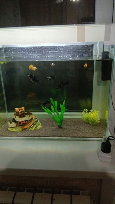 Акварюм срочно 25 литр