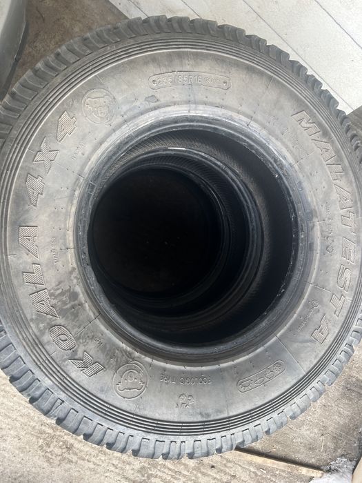 Всесезонни гуми малатеста коала 16