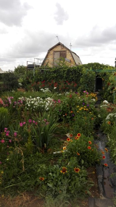 Продам дачу (Медьзаводские дачи)