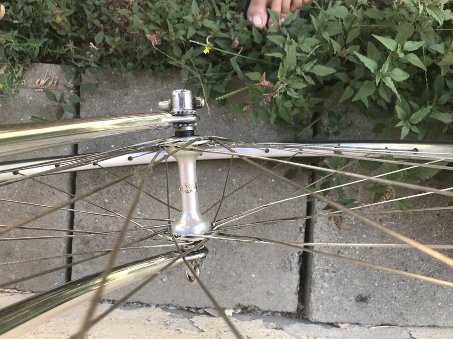 Cursiera Koga Miyata