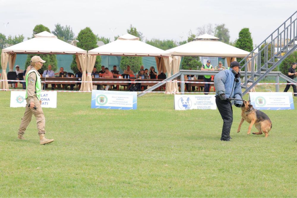 Аренда навес, шатёр для мероприятий 4х4