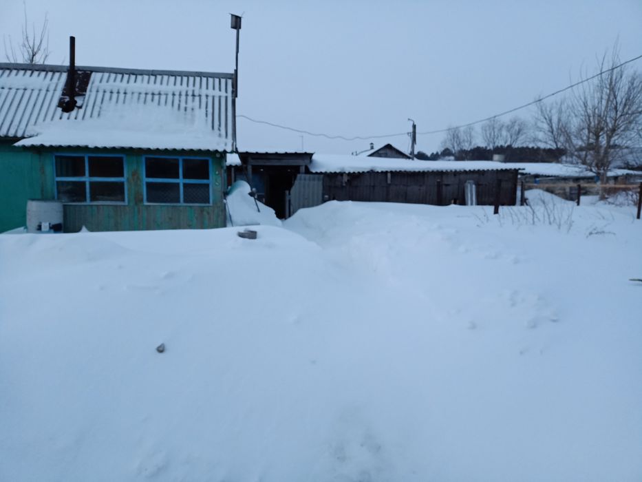 Продам дом село Боровское