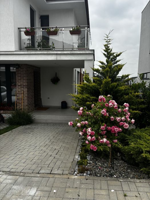 Casa premium 165 mp, mobilata si utilata complet, Mogoșoaia, proprietar