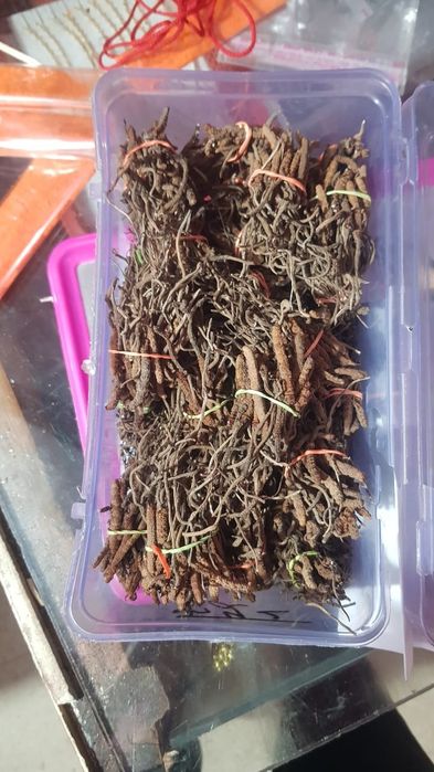 Лечебные травы с Непала