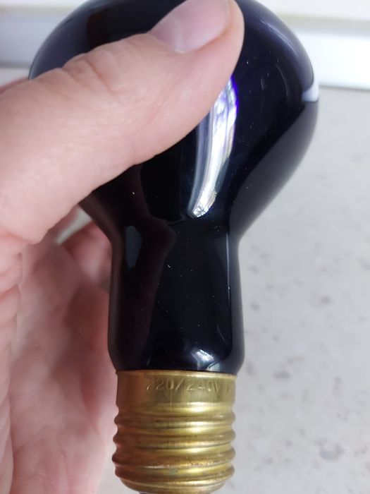 Bec de incalzire pentru reptile