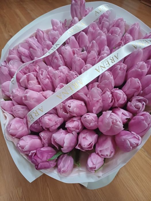 101 тюлпанов свежие