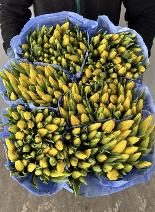 Тюльпаны оптом,доставка цветов,букет цветов,тюльпаны,пионы,розы