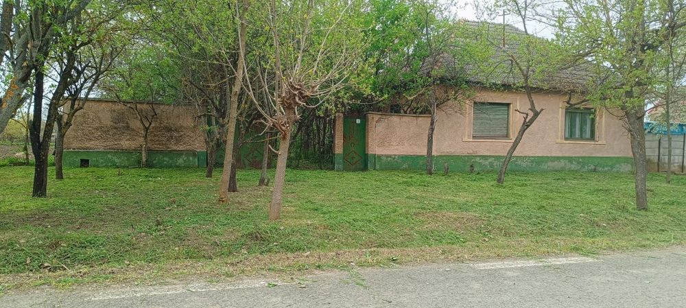 Vand casa in Peregul Mic  jud Arad preț 24700 euro neg