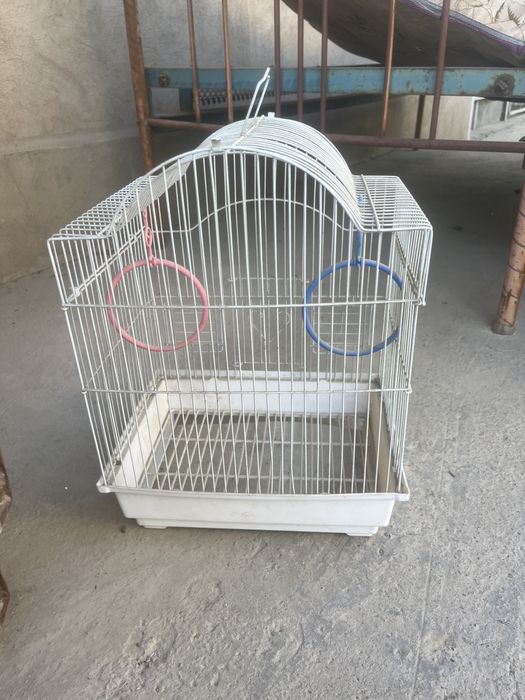 Клетка попугая в хорошом состаяни