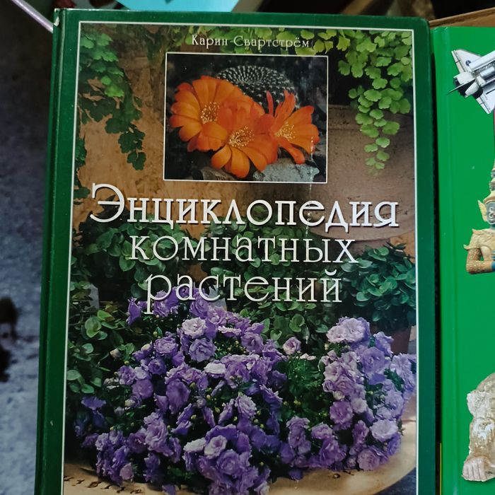 Энциклопедия комнатных растений.