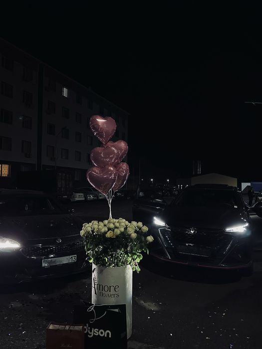 Шарики 6 штук тема