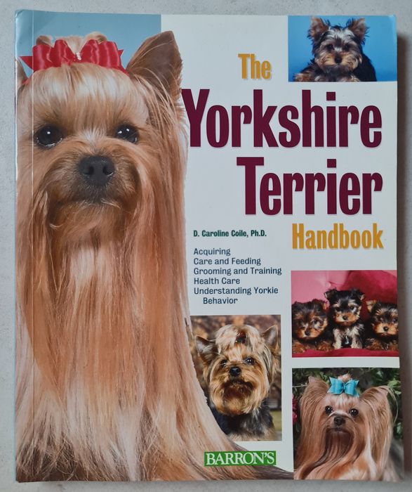 Carti training Yorkshire Terrier