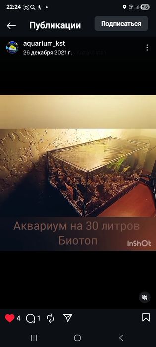 Аквариумы чистка