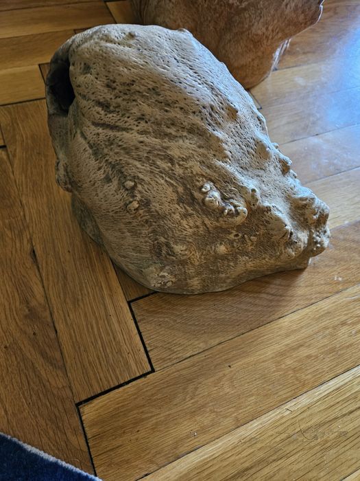 Декорация за дома и градината