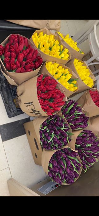 Тюльпаны Оптом и в Розницу