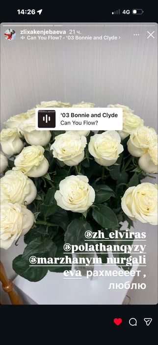 Белые розы свежие