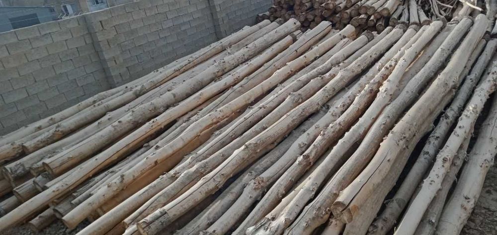 Дерево/Бревно 6м (терак)