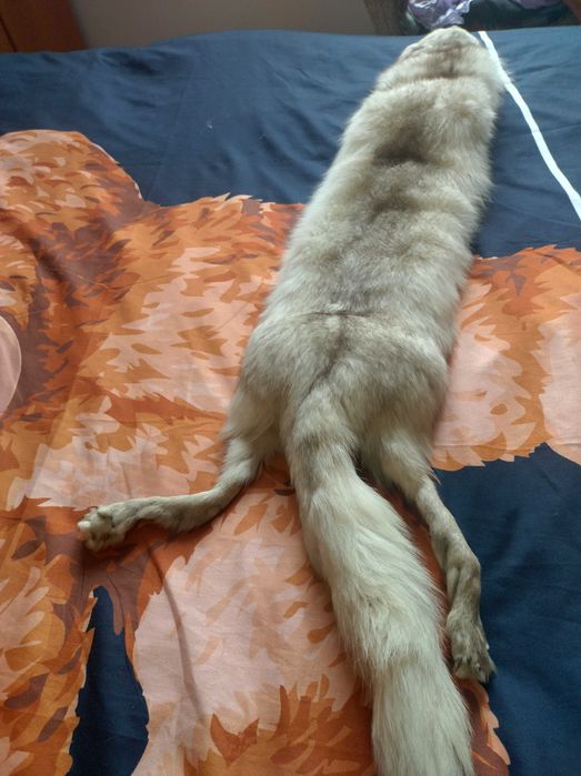 Шал от бяла лисица