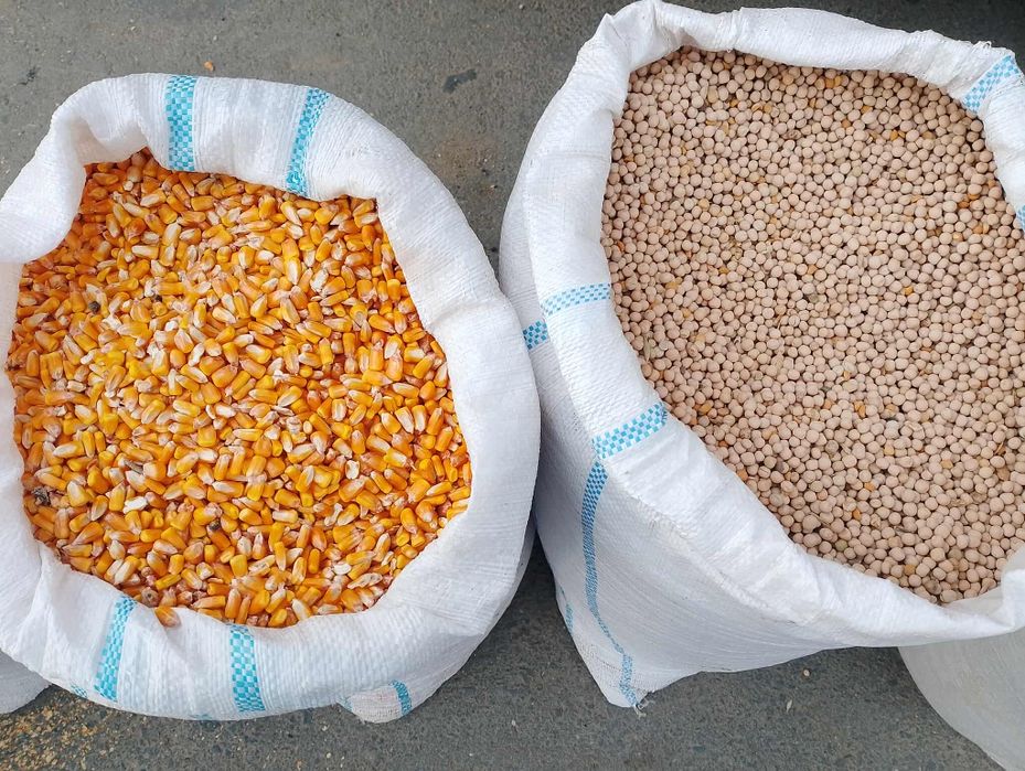 Vând cereale de anul asta!