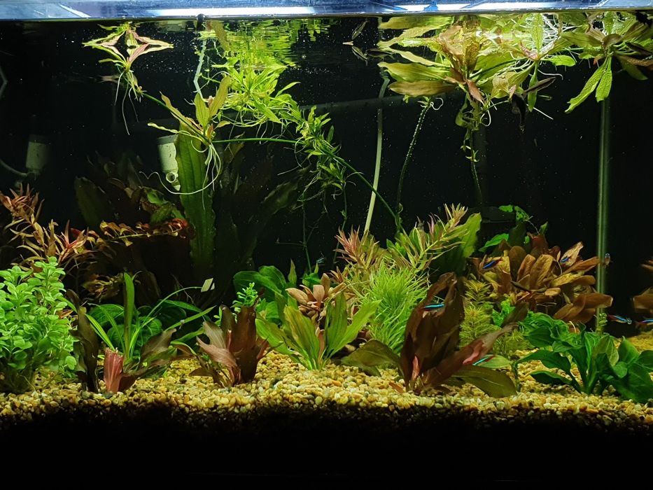 Аквариум 320 литров.