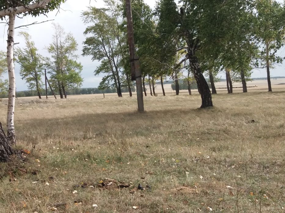 Фазенда. Продам фазенду