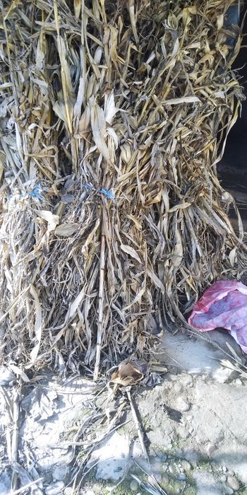 Беда пресс. Маккайи поя. Сотилади