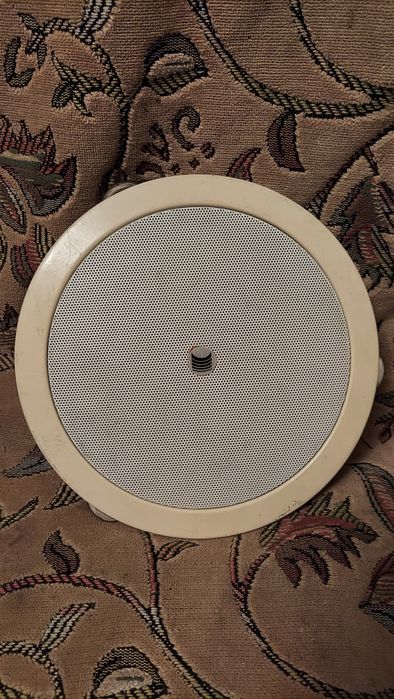 Динамик Paso рабочий