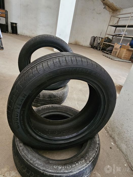 Goodyear EfficientGrip Performance 215/55 R17 shinasi (balon