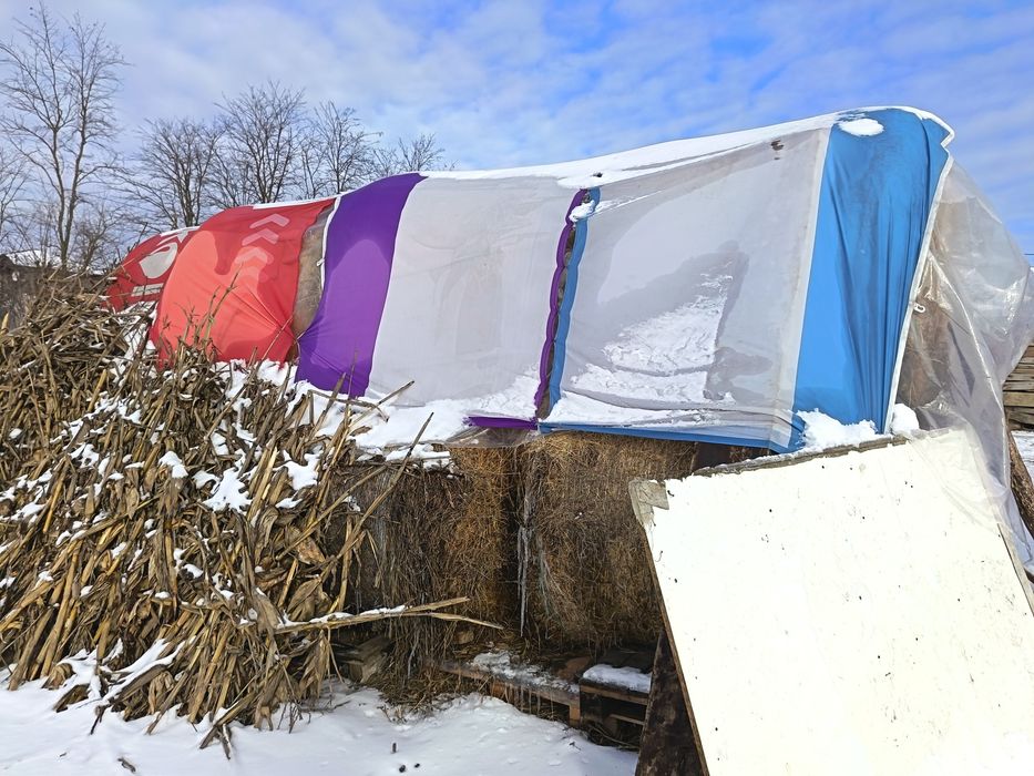 Văd  fân baloți și vrac amestecat cu lucerna