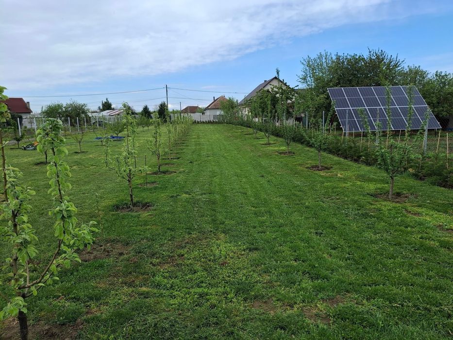 Amenajari si intretinere Spati Verzi